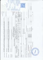 Кассовые чеки с подтверждением в Рошале